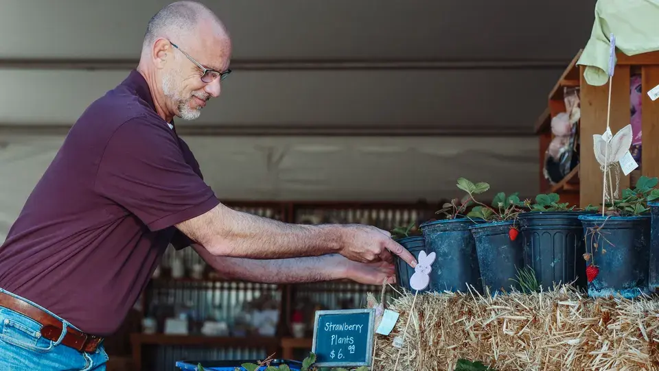 Serving the Scottdale and DeKalb County Community — Scottdale, GA
